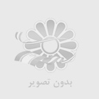 چوب پلاست چوبين پلاست